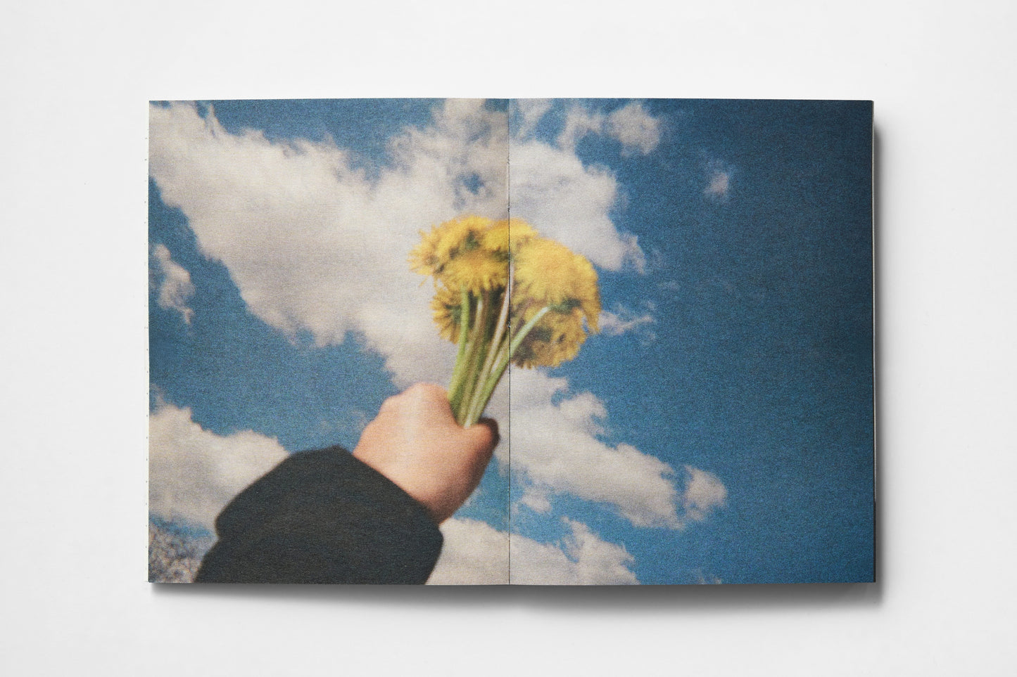 The book "Behind Blue Eyes"
